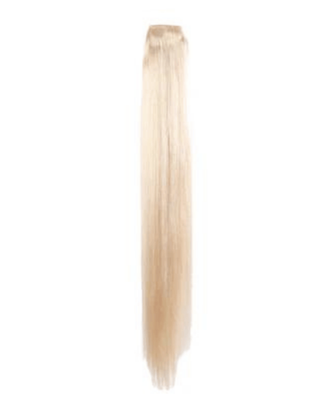 Ponytail, Lightest Blonde with Warm Tones | #613