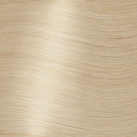 Flip-Up Clip | Light Golden Blonde | #22 - Hidden Crown Hair Extensions
