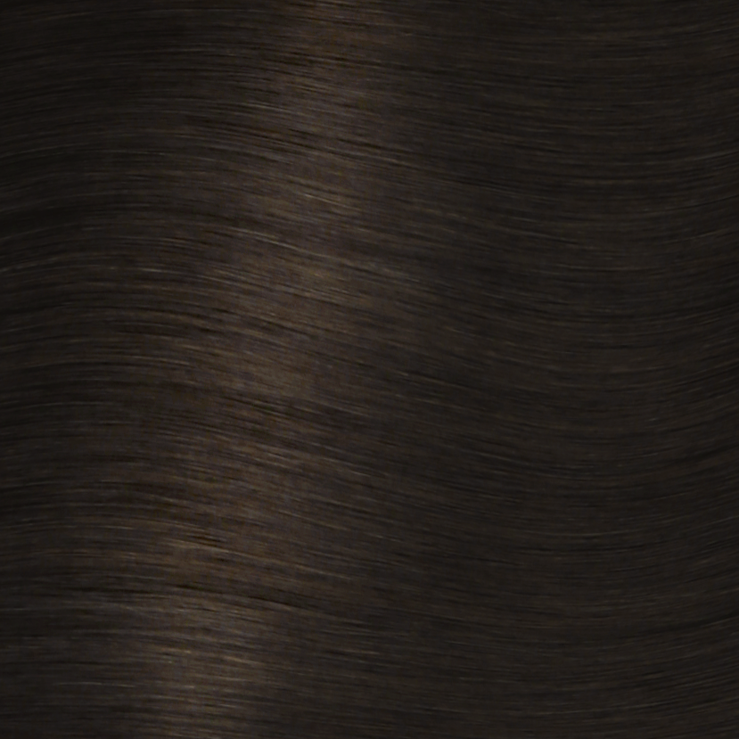 Dark Brown | #2 - Hidden Crown Hair Extensions